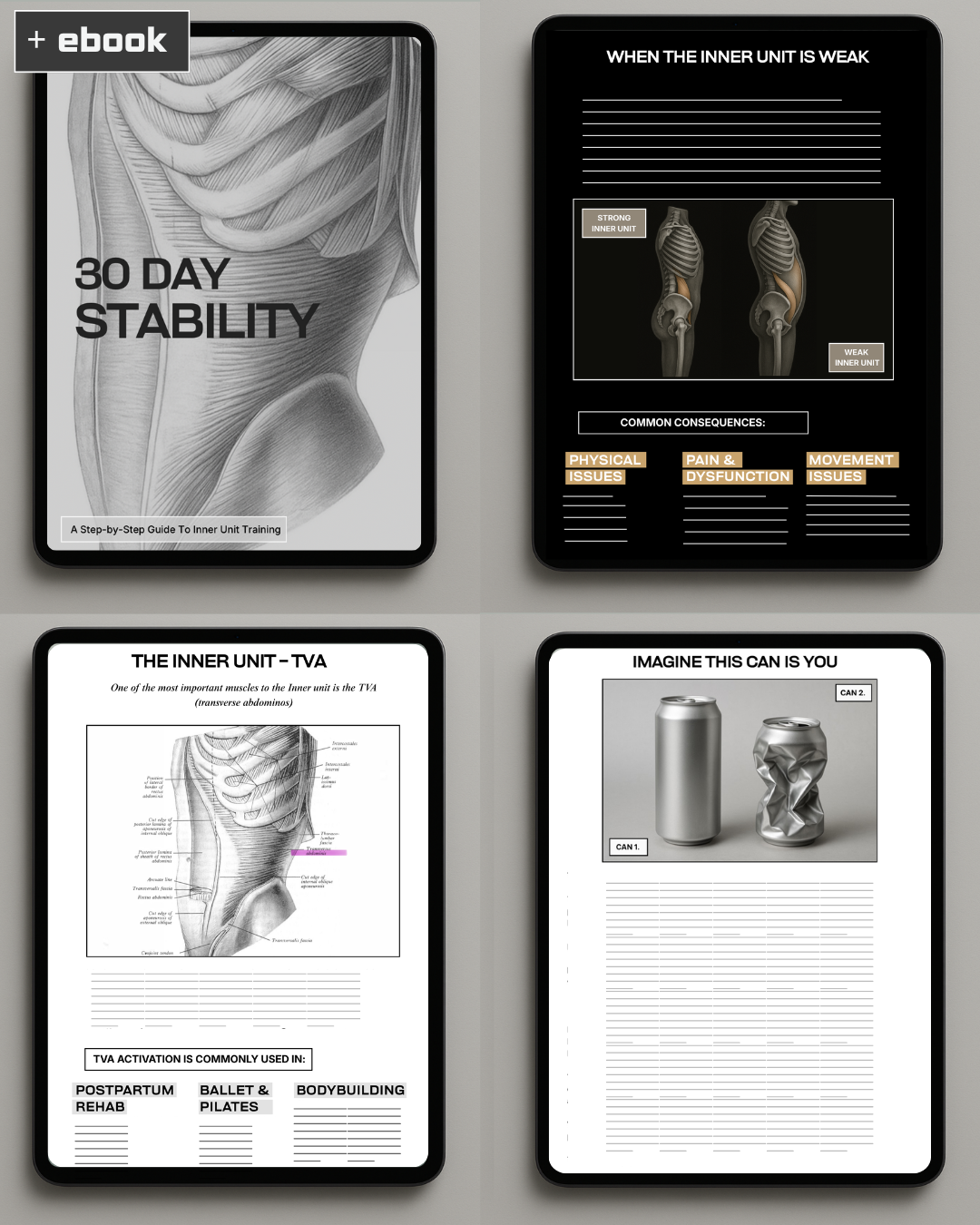 PROGRAM BUNDLE Phase 1: Stability → Phase 2: Beginner Calisthenics