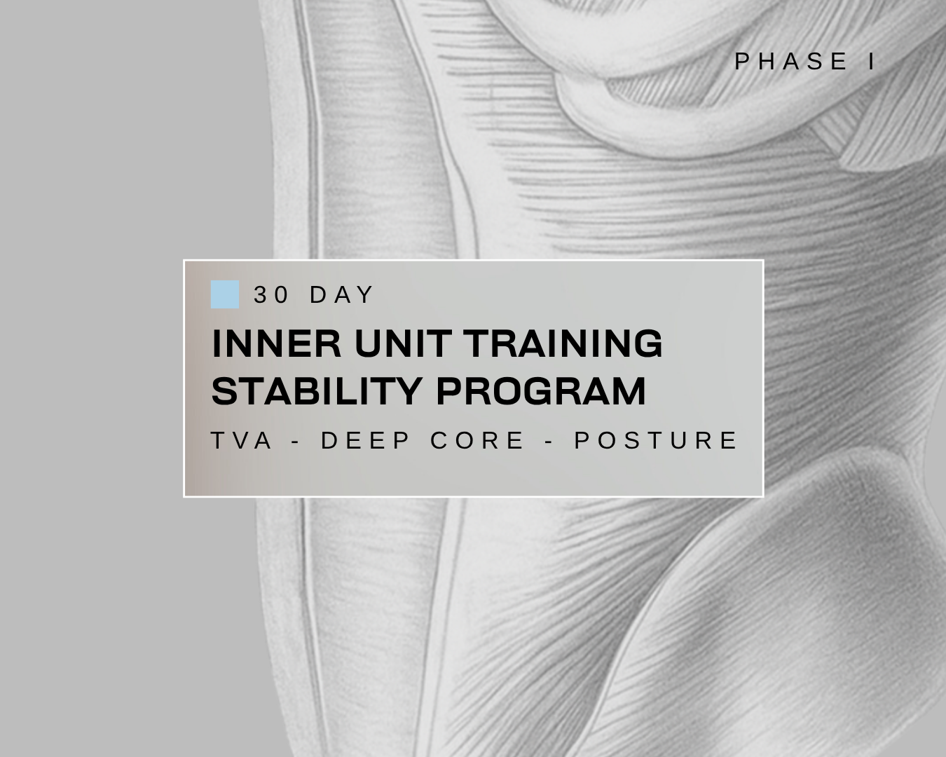 PROGRAM BUNDLE Phase 1: Stability → Phase 2: Beginner Calisthenics