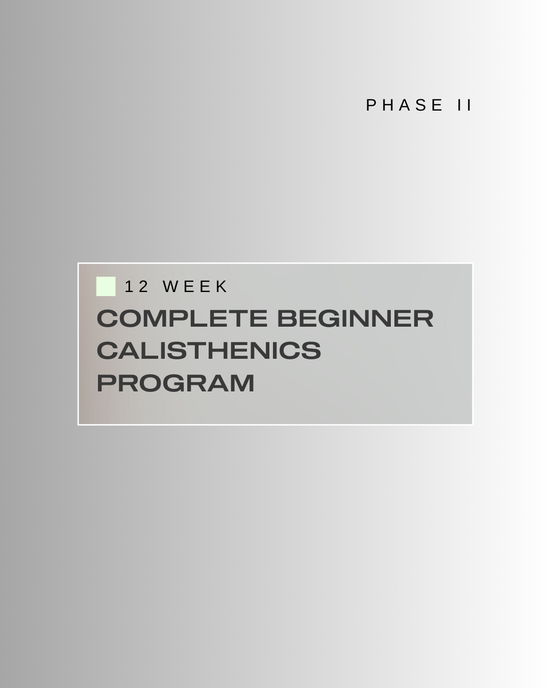 PROGRAM BUNDLE Phase 1: Stability → Phase 2: Beginner Calisthenics