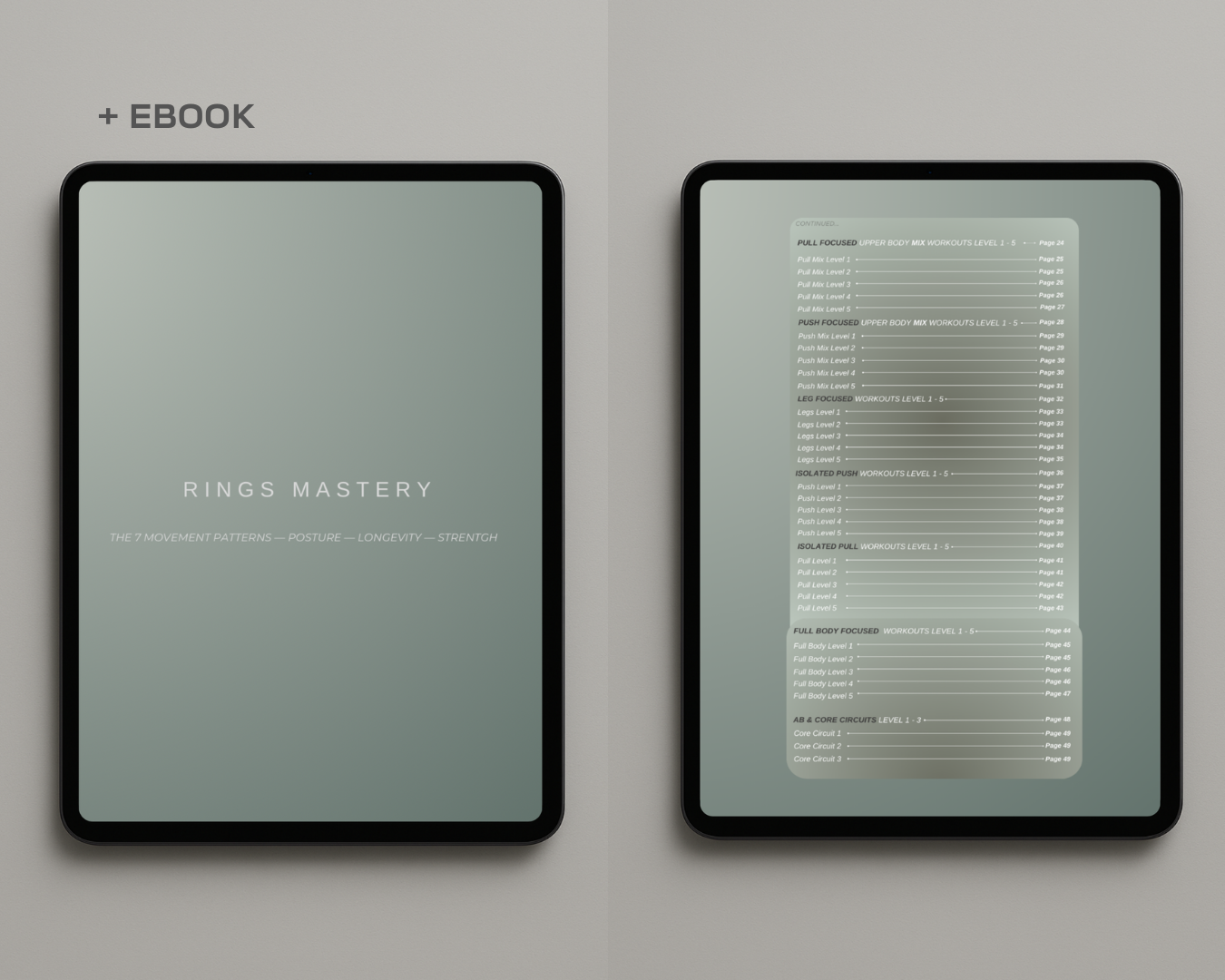 Rings Mastery Calisthenics Program