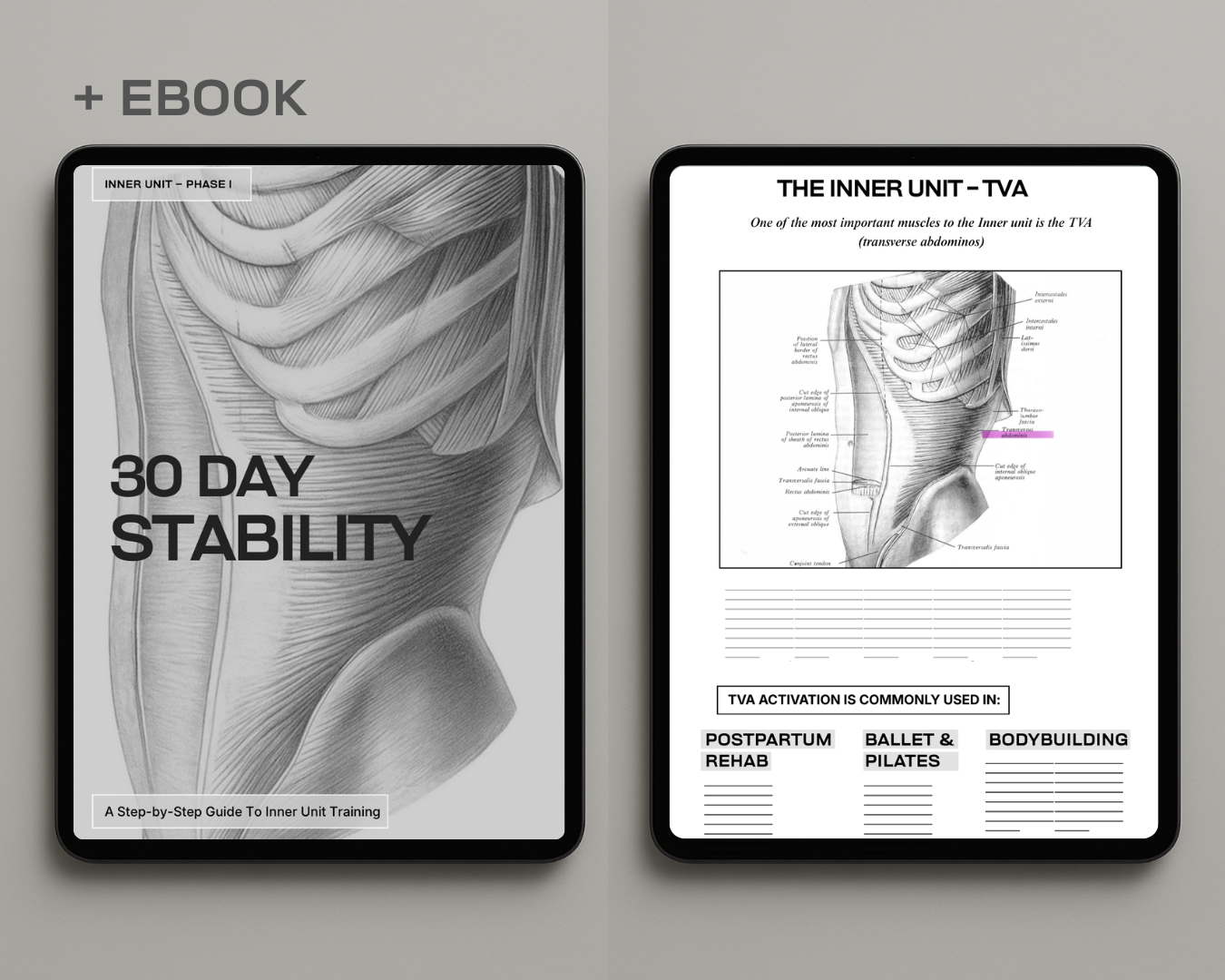 PROGRAM BUNDLE Phase 1: Stability → Phase 2: Beginner Calisthenics