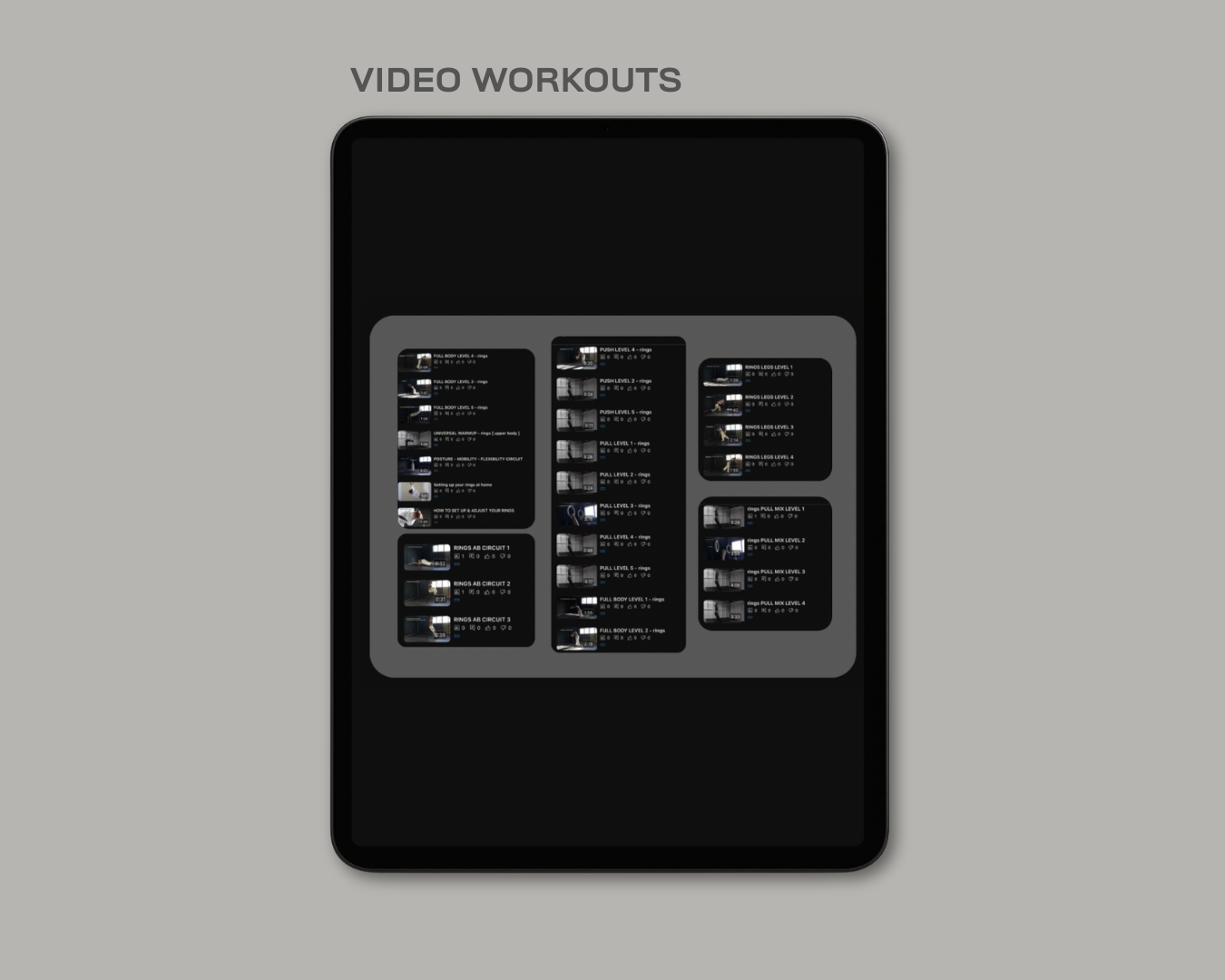 Rings Mastery Calisthenics Program