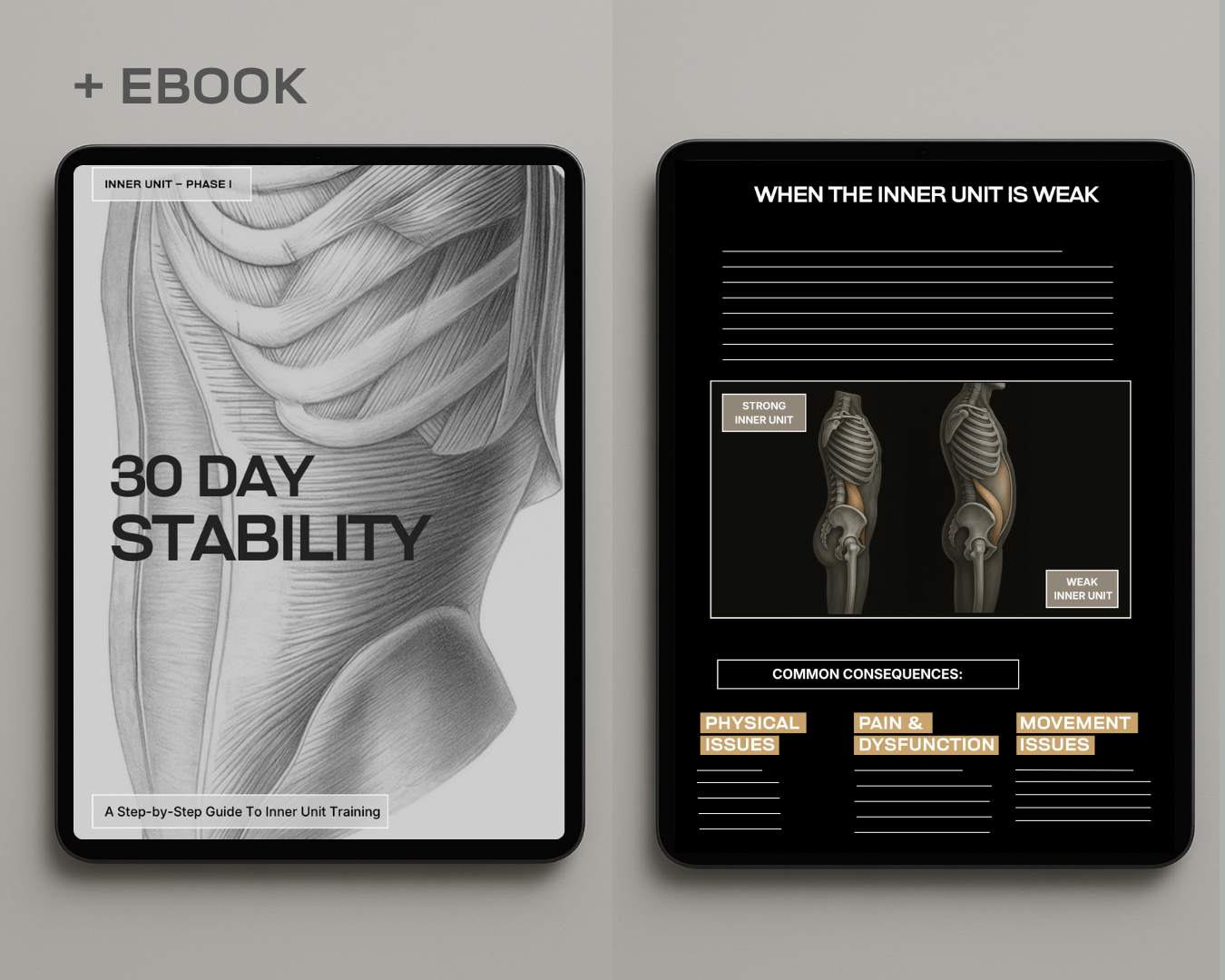 Inner Unit Training 30 Day Stability Program