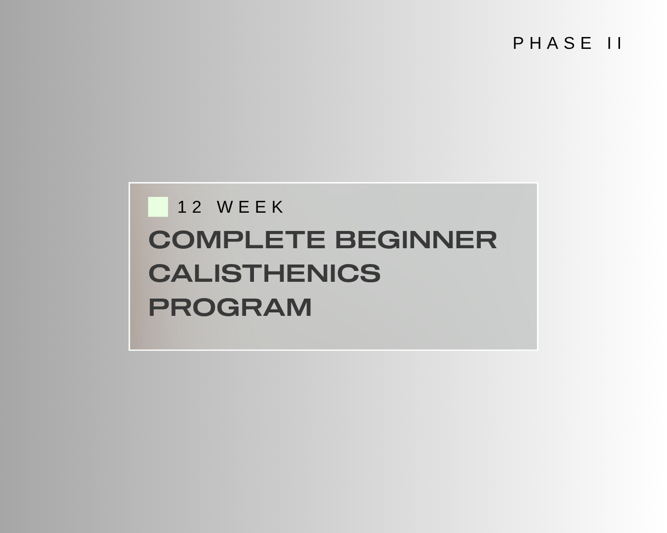PROGRAM BUNDLE Phase 1: Stability → Phase 2: Beginner Calisthenics
