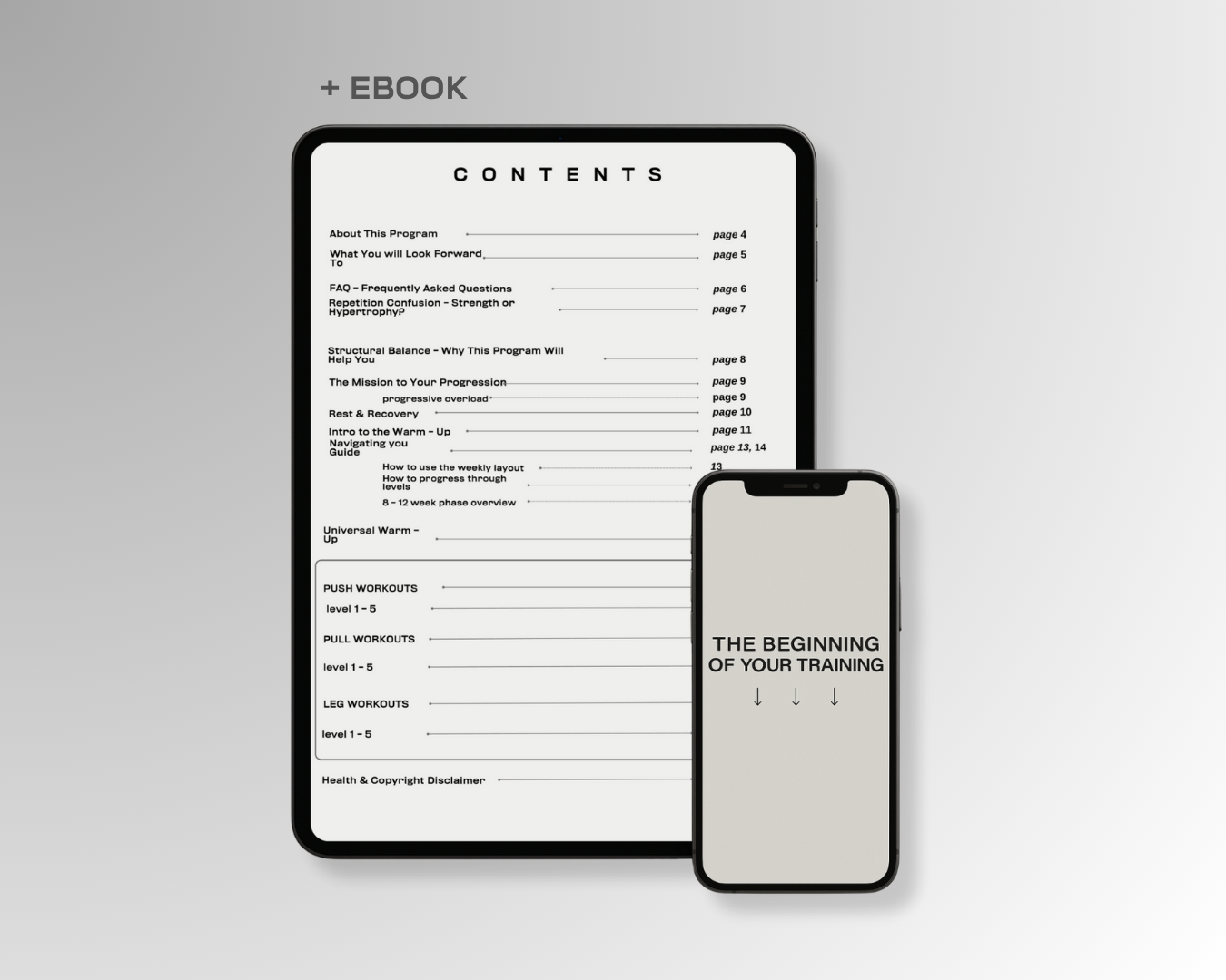 PROGRAM BUNDLE Phase 1: Stability → Phase 2: Beginner Calisthenics