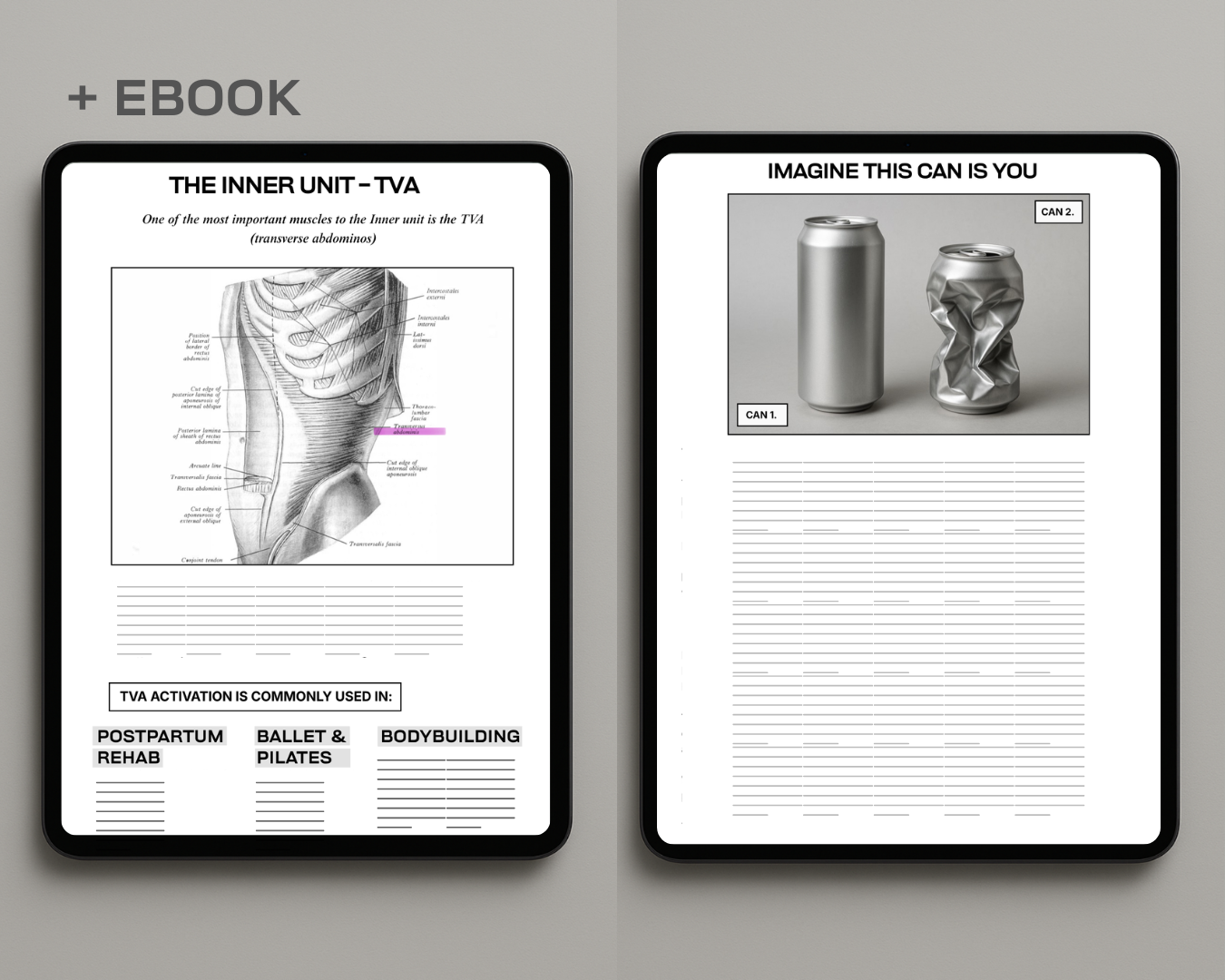 PROGRAM BUNDLE Phase 1: Stability → Phase 2: Beginner Calisthenics