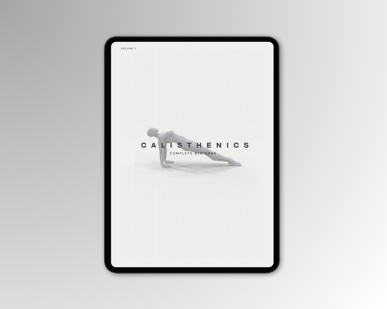 PROGRAM BUNDLE Phase 1: Stability → Phase 2: Beginner Calisthenics