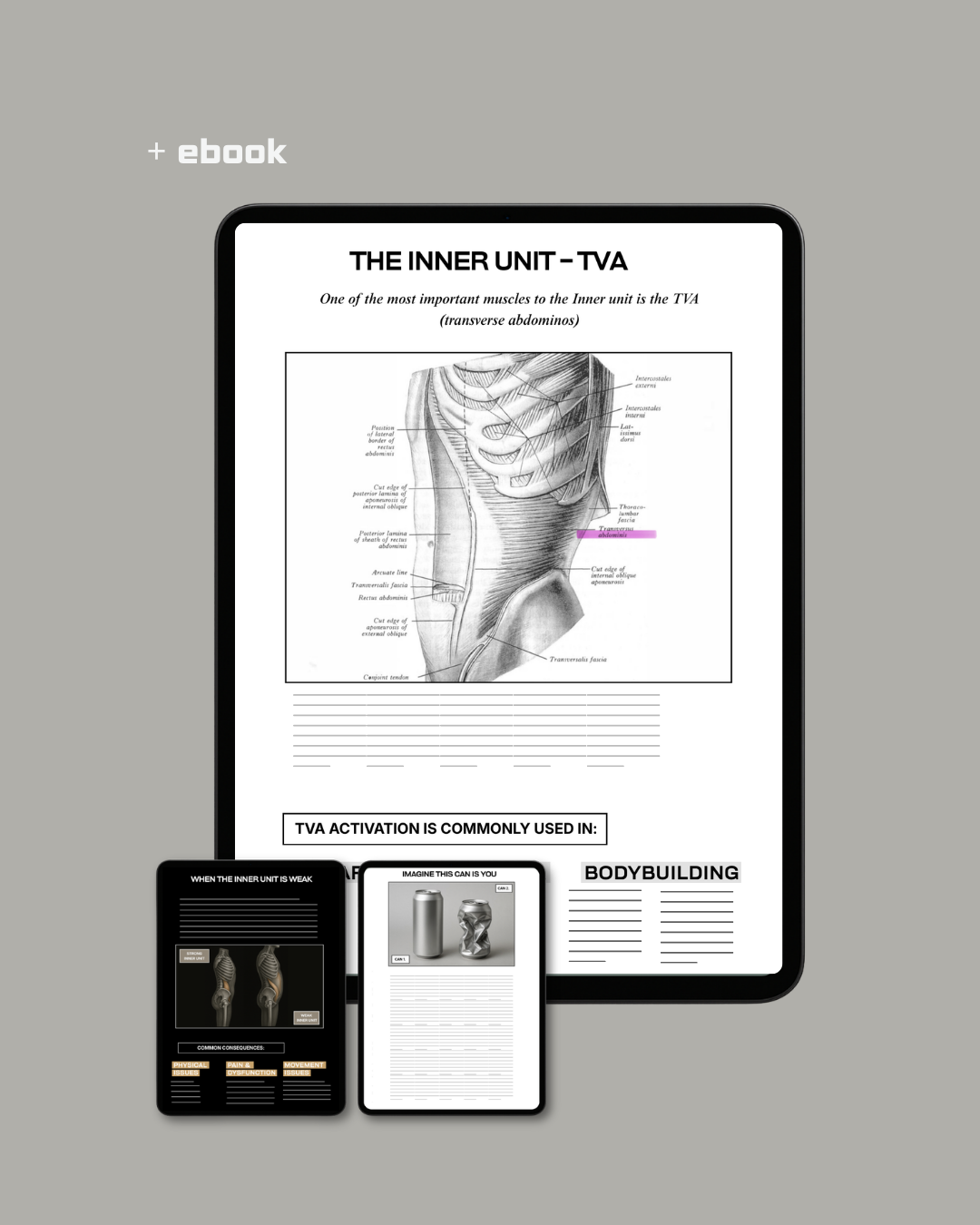 Inner Unit Training 30 Day Stability Program