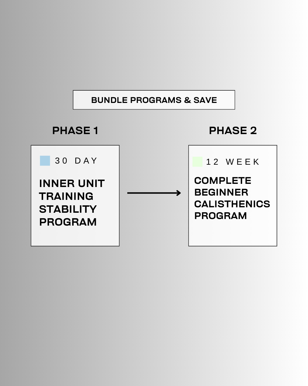 PROGRAM BUNDLE Phase 1: Stability → Phase 2: Beginner Calisthenics